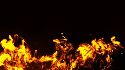 Труп 73-летнего мужчины нашли на месте пожара в воронежском селе