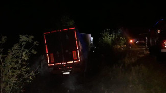 Под Воронежем осудили сбежавшего с места смертельного ДТП водителя фуры