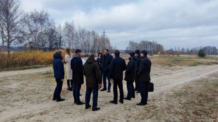 Мэр Воронежа рассказал о планах сделать прогулочную зону на набережной Артамонова