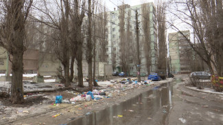 «В знак протеста». Воронежцы устроили свалку под своими же окнами