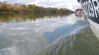 Воронежские реки стали чище в 2025 году