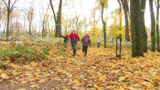 Воронеж в красках. Как преобразился город в золотую осень