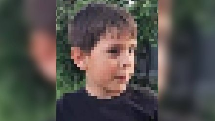 В Воронежской области пропал 5-летний мальчик