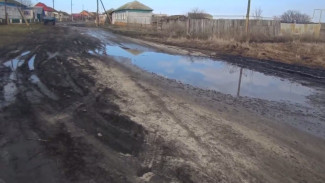 Глава СК проконтролирует решение проблемы с непроходимой дорогой в воронежском селе