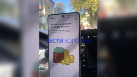 Воронежские таксисты пожаловались на проблемы с выводом денег из «Яндекс Про»