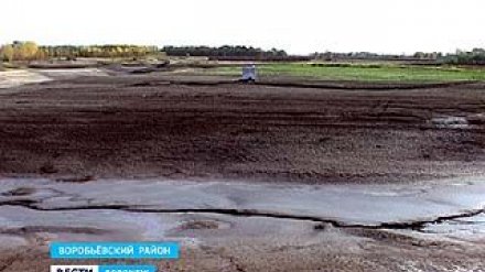 Пруд Березовый превратился в лужу