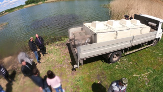 Фермер запустил в воронежский пруд тонну разнообразной рыбы 
