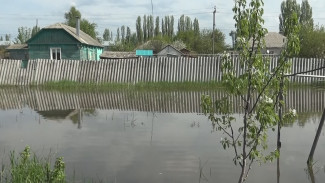 Сотни семей без урожая. Микрорайон в воронежском райцентре затопило грунтовыми водами