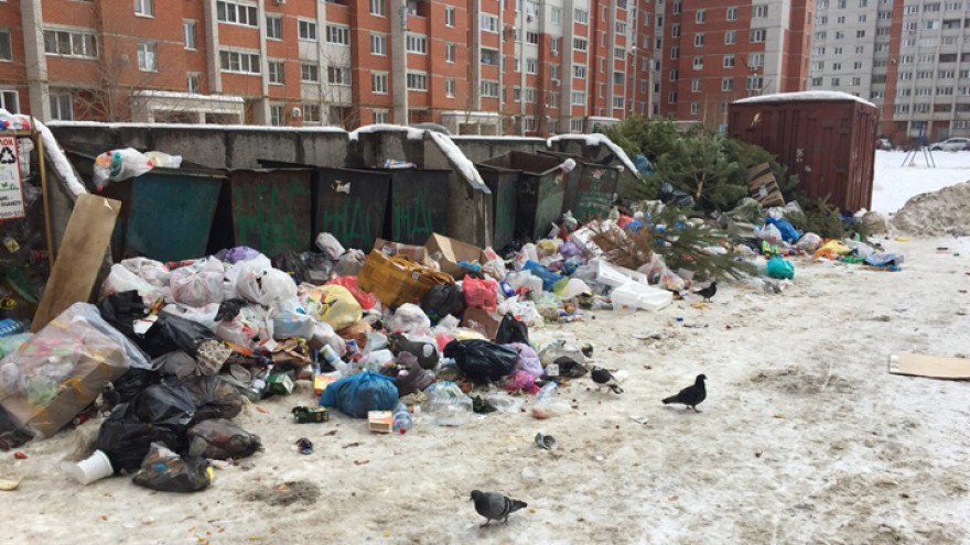 Тариф на вывоз мусора в Воронежской области предложили снизить на треть