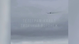 В небе над Воронежем заметили дымящийся самолёт