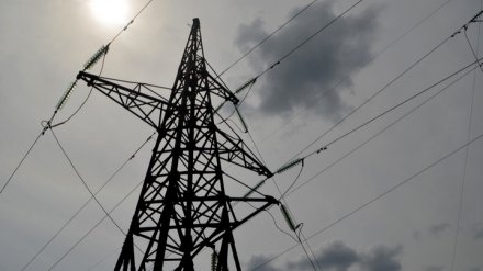 Энергетики вновь попросили воронежцев соблюдать правила в охранных зонах ЛЭП