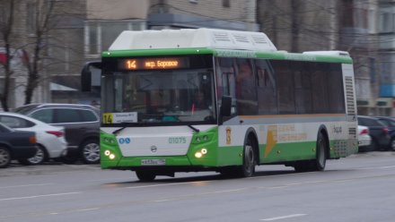 Воронежских перевозчиков накажут за грязные автобусы и хамящих водителей