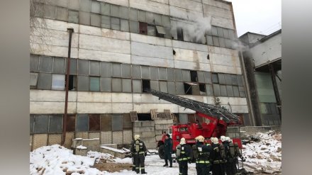 В Воронеже возле популярного ТЦ вспыхнул пожар