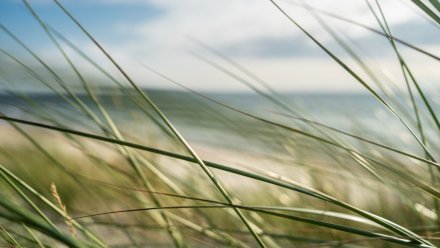 В Воронежской области за сутки похолодает сразу на 20 градусов