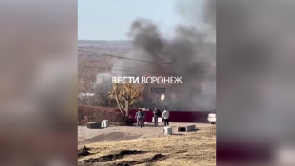 «Взорвался баллон и дом взлетел». Появились подробности пожара в воронежском хуторе