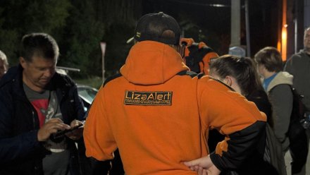 Воронежские волонтёры рассказали о поисках пропавшей 86-летней пенсионерки 