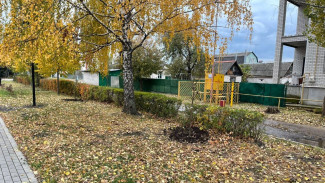 Воронежские улицы и скверы украсили сотни деревьев 
