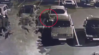 Неизвестные слили бензин с автомобилей в воронежском Шилове