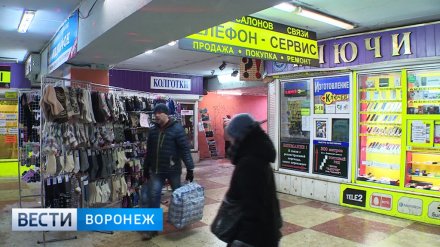 В мэрии Воронежа рассказали о начале реконструкции подземного перехода у Цирка