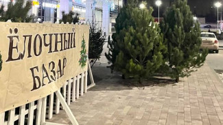 Первые ёлочные базары досрочно открылись в Воронеже