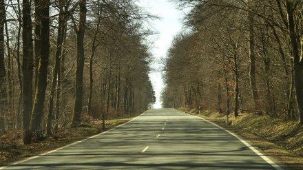 В Воронежской области фура сбила пешехода на обочине дороги