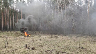 У Нововоронежской АЭС подожгли лес