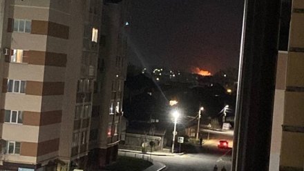 Жители Воронежской области сообщили о сильном пожаре в Лисках