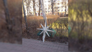 В сквере в центре Воронежа упала звезда 