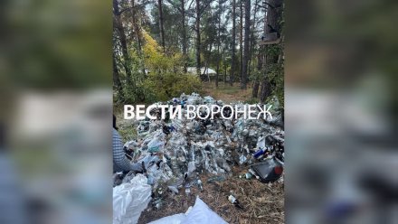 Воронежцы пожаловались на огромную свалку стеклянных бутылок у дома