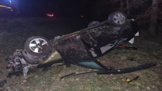 В Воронежской области Renault вылетел с трассы и перевернулся: водитель погиб
