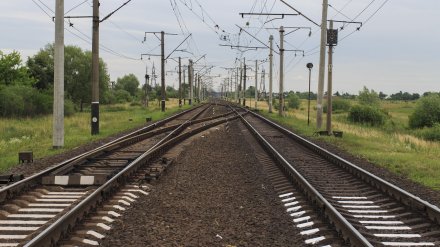 Шилово планируют связать с центром Воронежа электричками