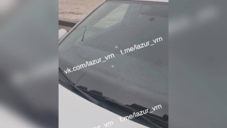 Под окнами воронежского ЖК обстреляли автомобиль