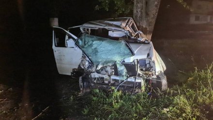 Шестилетний сын погиб в ДТП по вине пьяной матери в Воронежской области