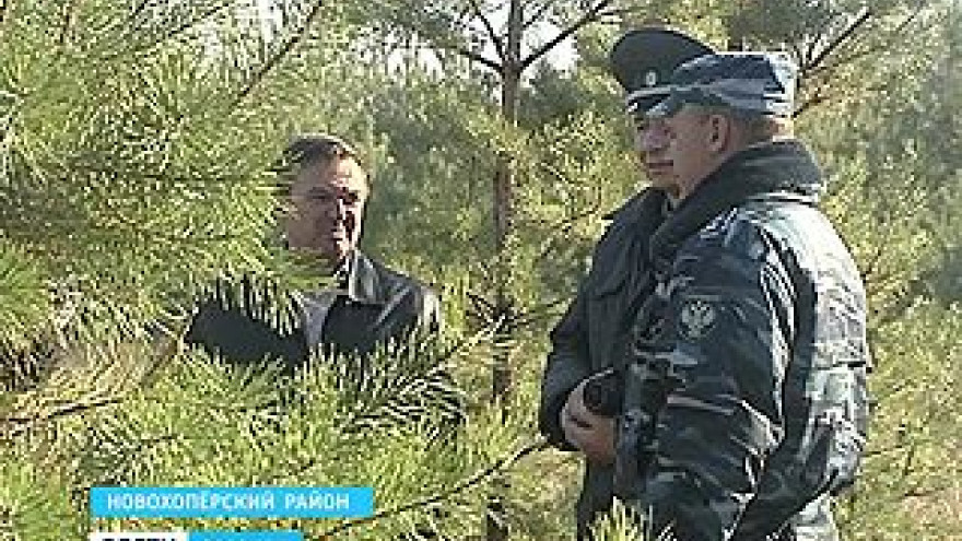 В Новохоперском районе нашли тысячи гектаров непаханых полей