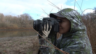 «Охота» за зверем. Фотограф воронежского заповедника – о создании уникальных кадров