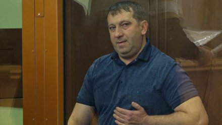 Обвиняемого в коррупции депутата гордумы Воронежа оставили под домашним арестом