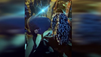 Жильцы воронежской многоэтажки напали на пытавшегося спасти дворнягу волонтёра