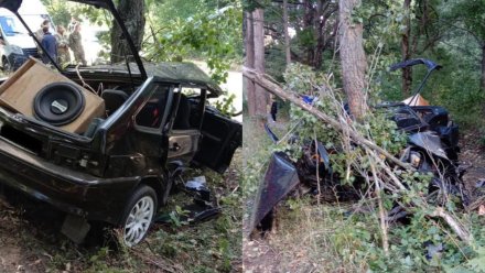 В Воронежской области мужчина на «Ладе» влетел в дерево и разбился