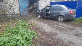 Под Воронежем «Лада Гранда» врезалась в забор, дерево и гараж