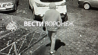 В Воронеже возбудили уголовное дело после поджога машины на Мордасовой