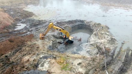 Экологи обратились в Генпрокуратуру из-за варварской расчистки реки под Воронежем