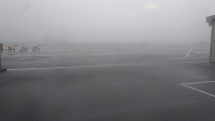 Густой туман помешал работе Воронежского аэропорта