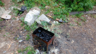 Воронежец развёл костёр на территории памятника природы «Северный лес»