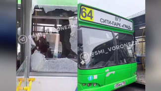 Воронежцы сообщили о жутком ДТП с автобусами в ЖК «Спутник»: ранены мама и дочь