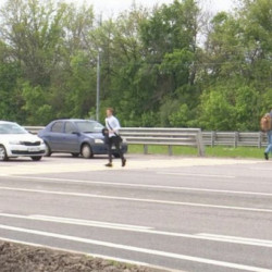 Мать двоих детей поедет в колонию на 2 года за сбитую насмерть под Воронежем зоозащитницу