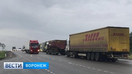 Воронежские автоинспекторы помогут сократить пробки в Лосево на трассе М-4 «Дон»