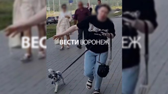 В Воронеже женщина напала на маму с ребёнком после просьбы убирать за питомцем