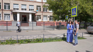Депутаты Воронежской облдумы проверили правильность пешеходных переходов у школ