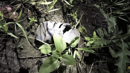 Без шансов на выживание. 4 роковых совпадения в судьбе погибшего под Воронежем мальчика