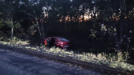 Автомобилистка потеряла управление и вылетела с трассы в Кантемировском районе